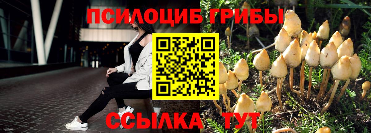 Галлюциногенные грибы Cubensis  Вход с VPN  Псилоцибиновые грибы прущие грибы  Миллерово 